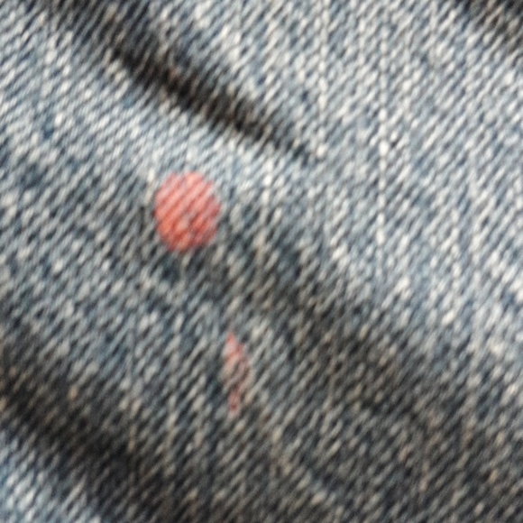 Insulated Carhartt Jeans - Picture 5 of 5